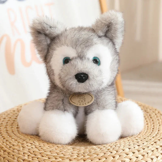 Peluche Perro Husky – Suave, tierno y esponjoso