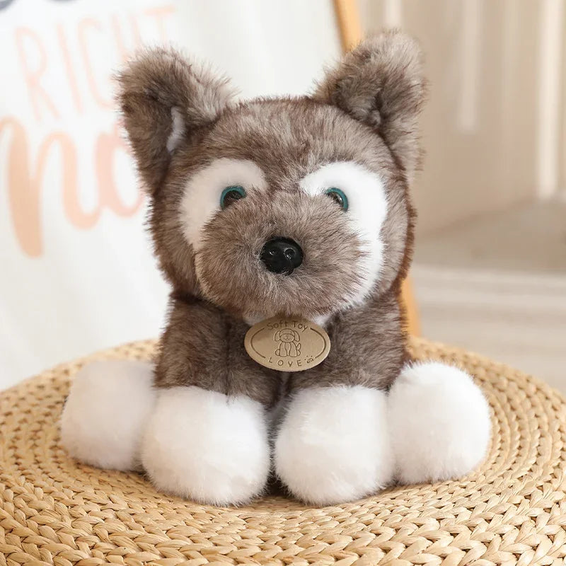 Peluche Perro Husky – Suave, tierno y esponjoso